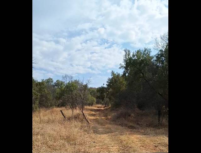 272HA FARM FOR SALE IN KOSTER